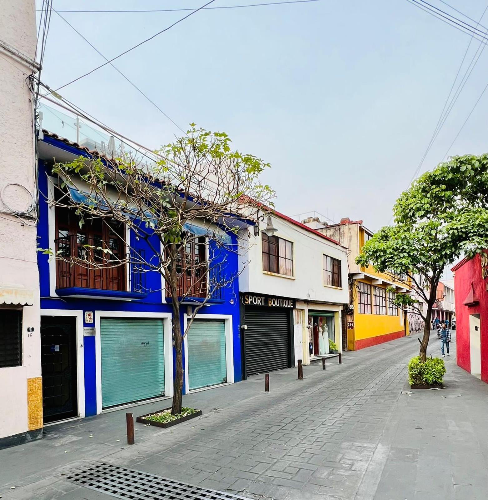 Hotel Casa Frida Cuernavaca Zewnętrze zdjęcie